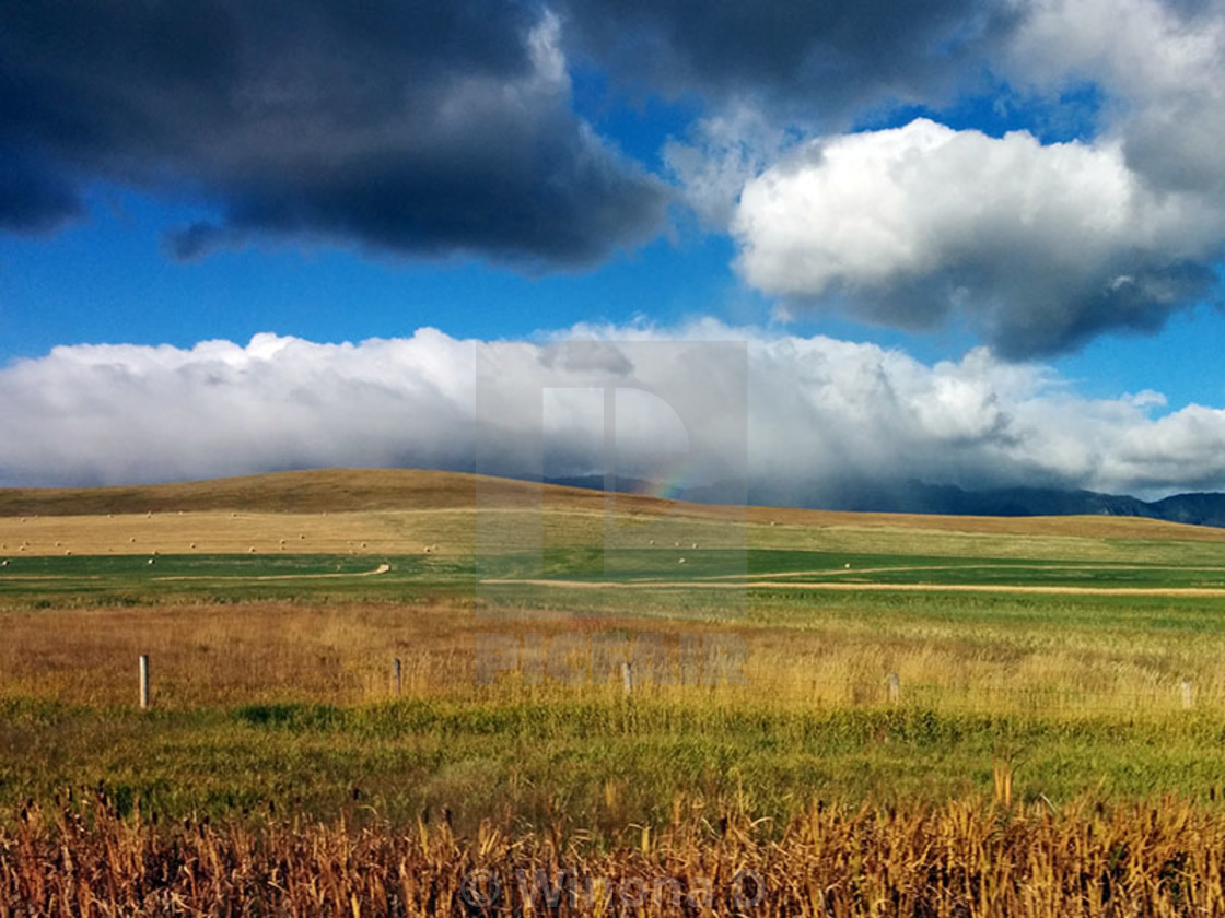 "Rain Is Coming" by Winona D - $15.32 "Rain Is Coming" stock image