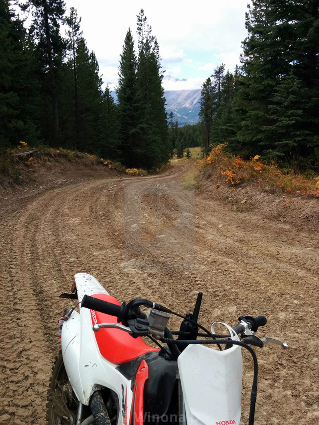 "Dirt biking in Alberta" by Winona D - $15.32 "Dirt biking in Alberta" stock image