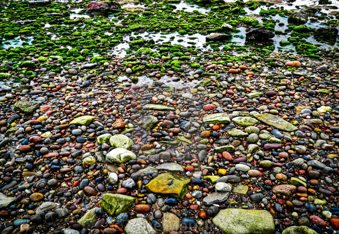 "Pebbles" stock image