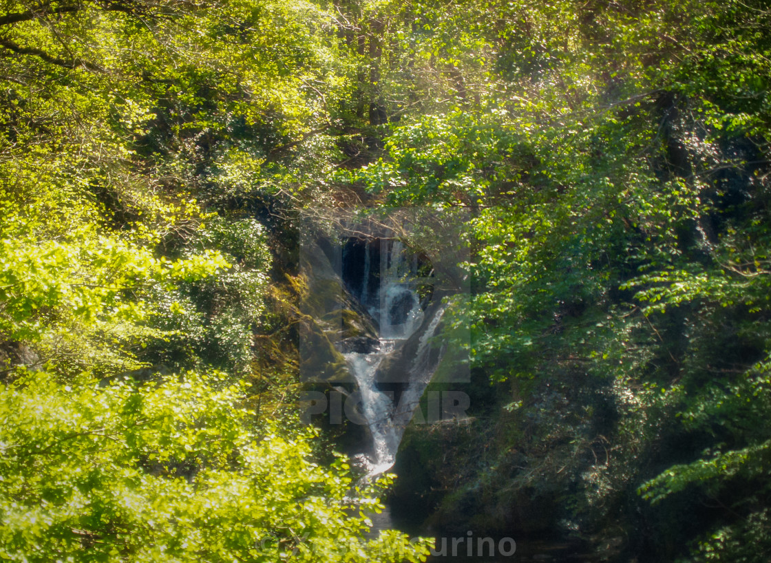 "Forest waterfall, Wales." stock image