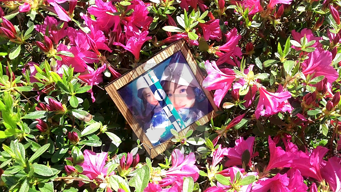 "picture frame 40" by YU - $38.60 "picture frame 40" stock image