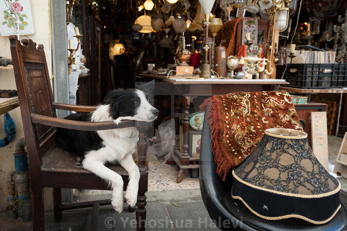 "The Jaffa outdoor market" by Yehoshua Halevi - $9.12 "The Jaffa outdoor market" stock image