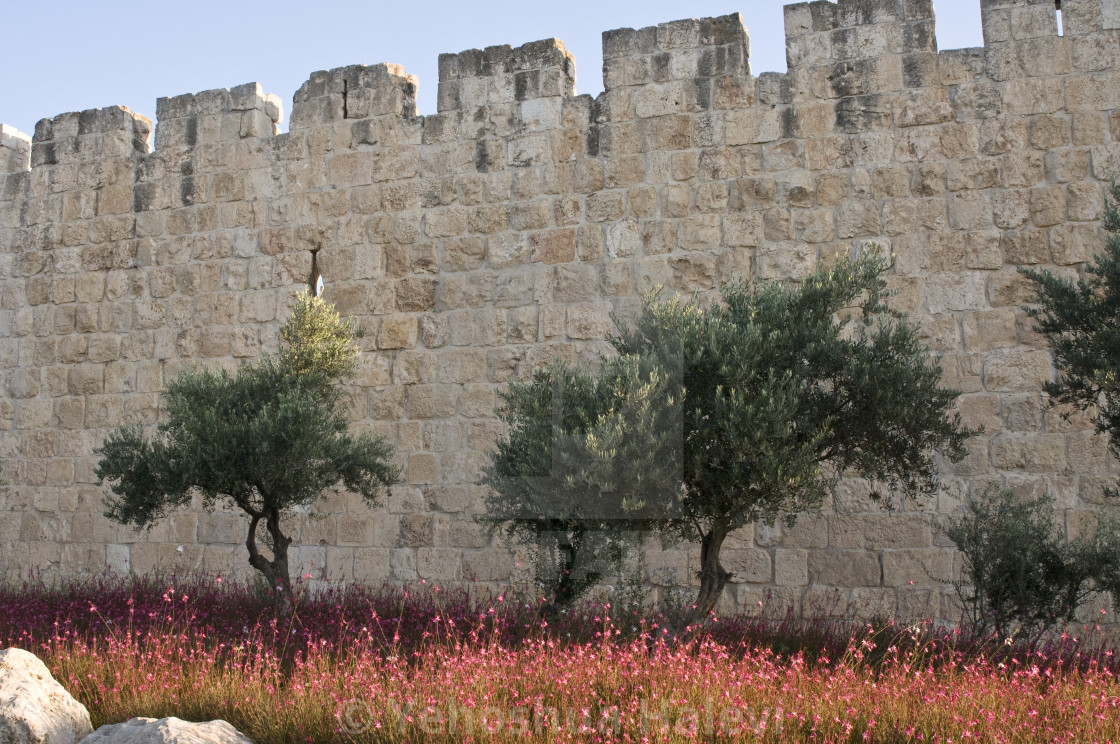 "Walls of Jerusalem" by Yehoshua Halevi - $9.14 "Walls of Jerusalem" stock image