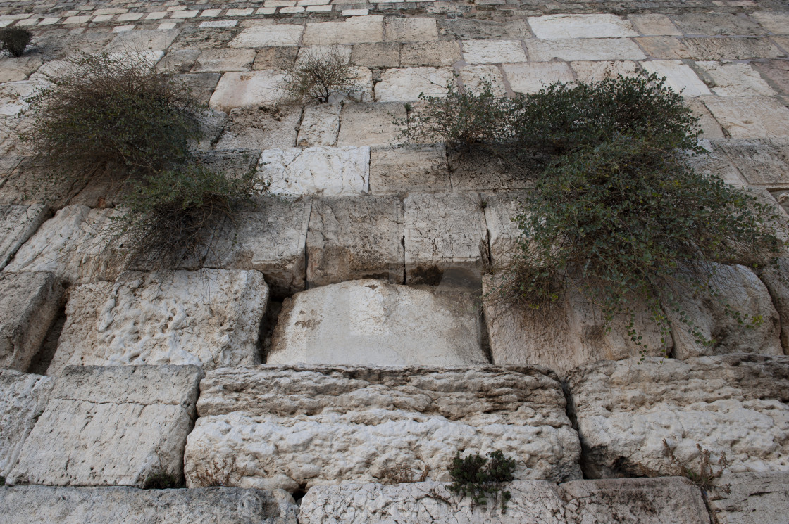 "The Western Wall in Jerusalem" by Yehoshua Halevi - $9.12 "The Western Wall in Jerusalem" stock image