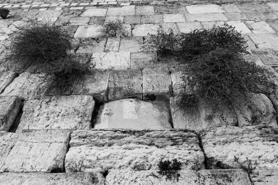 "The Western Wall in Jerusalem" by Yehoshua Halevi - $9.14 "The Western Wall in Jerusalem" stock image