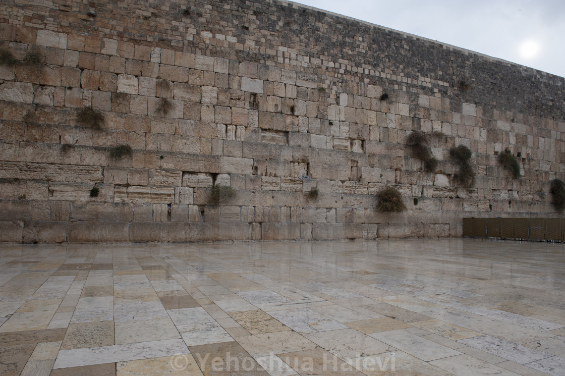 "Rare view of the Western Wall without people" by Yehoshua Halevi - $12.19 "Rare view of the Western Wall without people" stock image