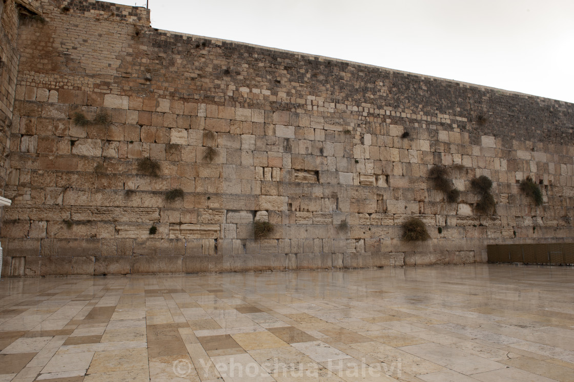 "Rare view of the Western Wall without people" by Yehoshua Halevi - $12.19 "Rare view of the Western Wall without people" stock image
