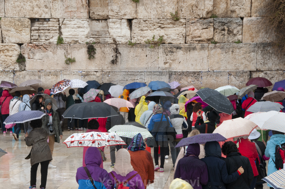 "Umbrellas at the Western Wall" by Yehoshua Halevi - $9.14 "Umbrellas at the Western Wall" stock image