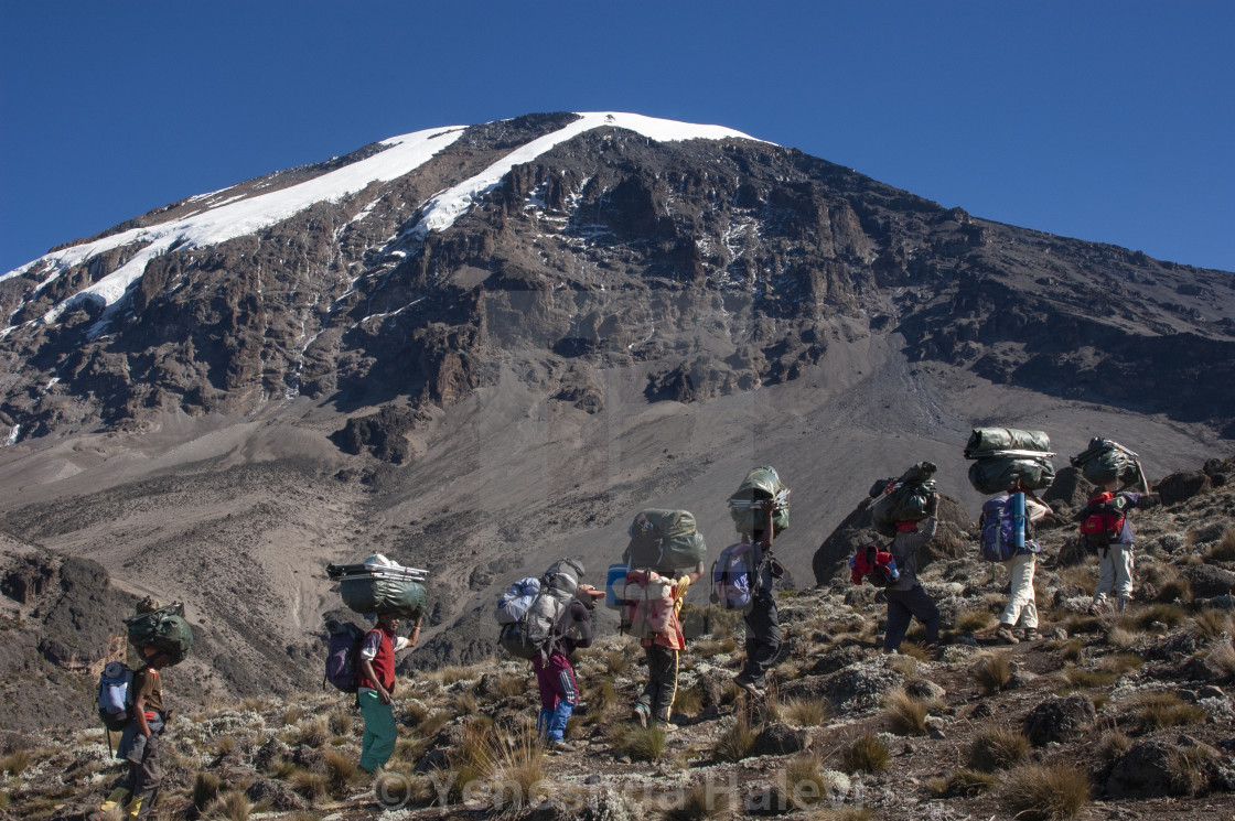 "Climbing Mount Kilimanjaro" by Yehoshua Halevi - $6.08 "Climbing Mount Kilimanjaro" stock image