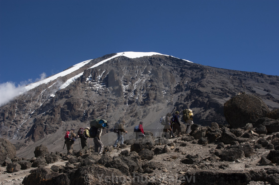 "Climbing Mount Kilimanjaro" by Yehoshua Halevi - $6.08 "Climbing Mount Kilimanjaro" stock image