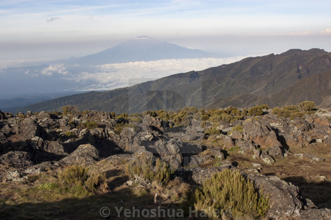 "Mount Meru as seen from Mount Kilimanjaro" by Yehoshua Halevi - $6.08 "Mount Meru as seen from Mount Kilimanjaro" stock image