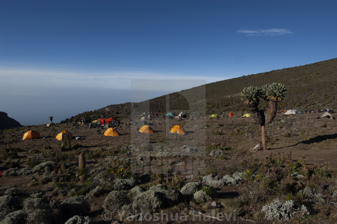 "Campsite on Mount Kilimanjaro" stock image