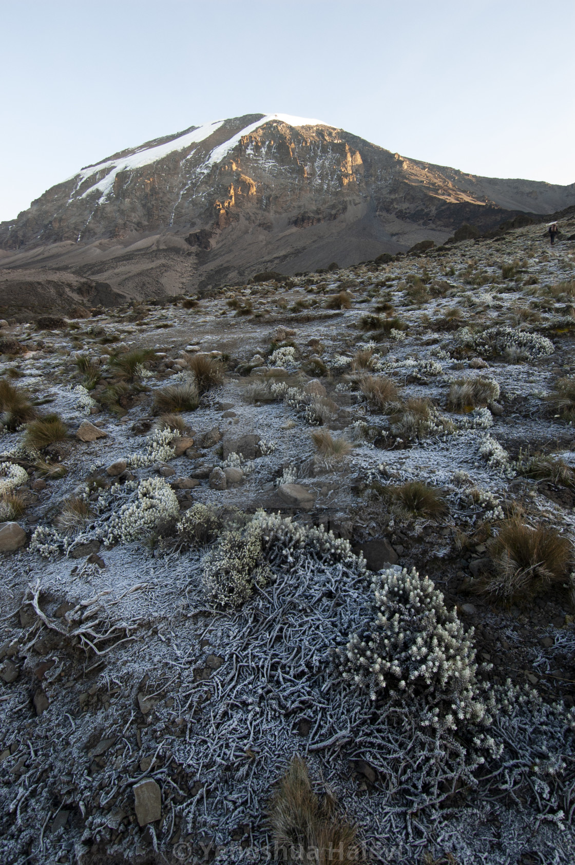 "Frosty morning on Mt. Kilimanjaro" by Yehoshua Halevi - $6.08 "Frosty morning on Mt. Kilimanjaro" stock image