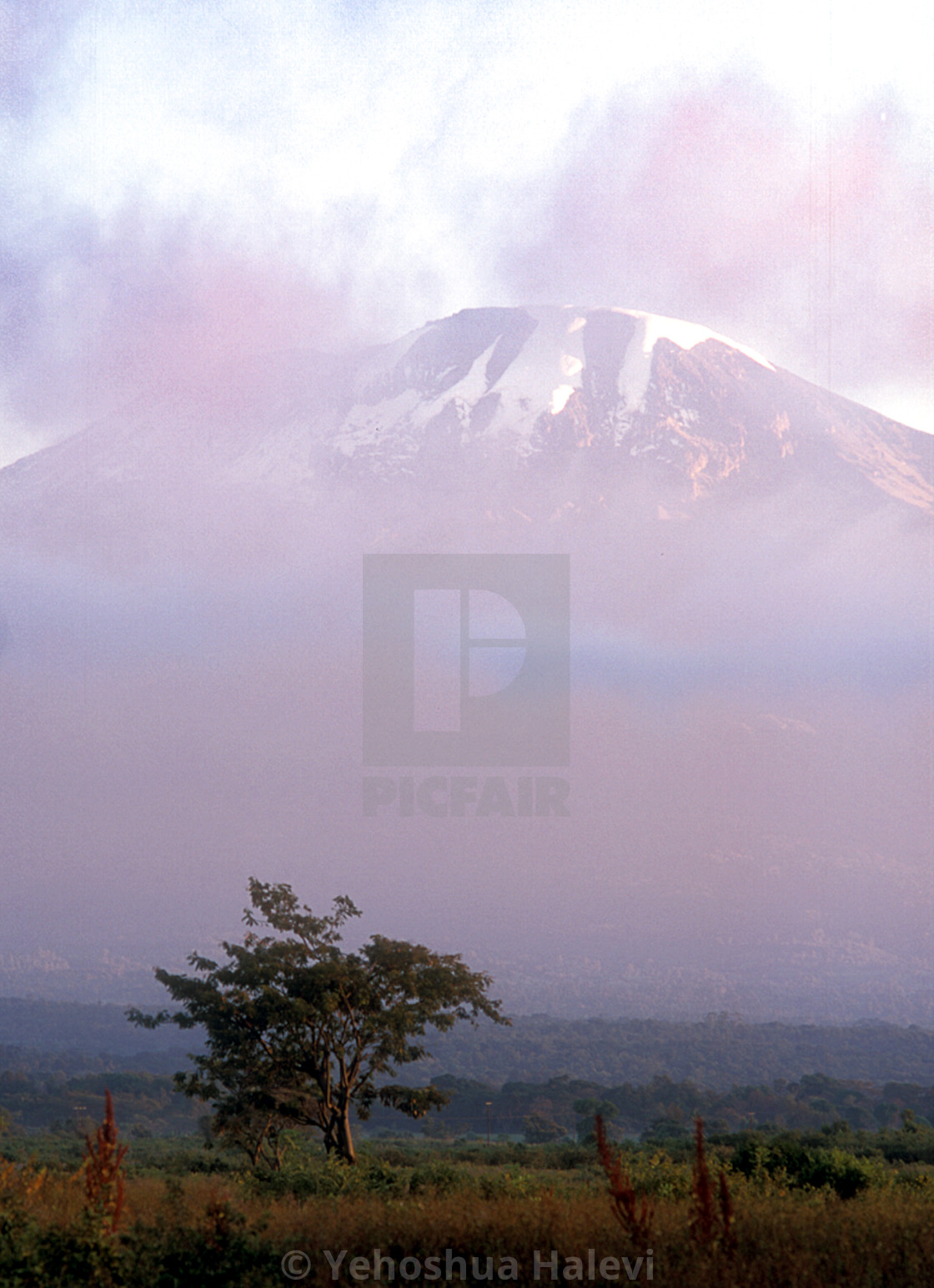 "Mt. Kilimanjaro" by Yehoshua Halevi - $6.08 "Mt. Kilimanjaro" stock image