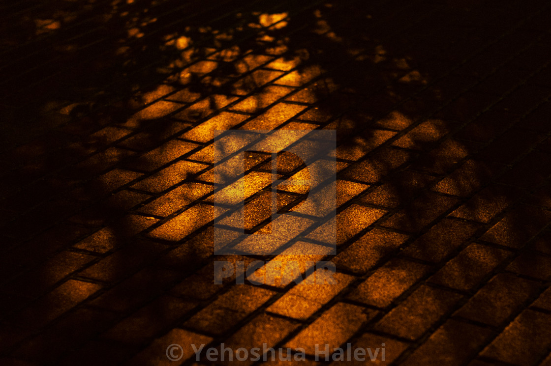 "Bright colored lights on wet pavement at night" by Yehoshua Halevi - $4.87 "Bright colored lights on wet pavement at night" stock image