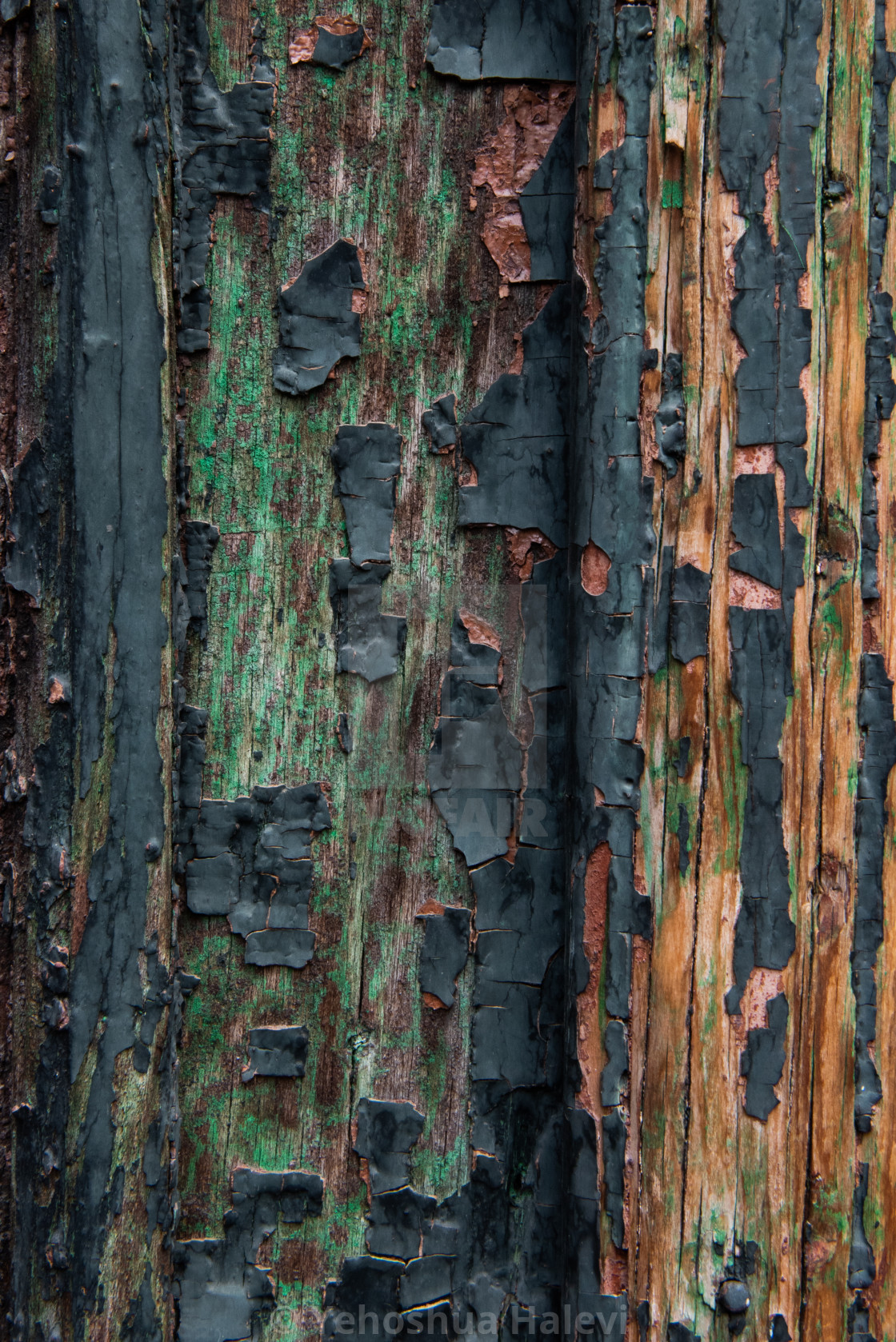 "Detail of an old door in Old Town, Tbilisi, Georgia" by Yehoshua Halevi - $6.08 "Detail of an old door in Old Town, Tbilisi, Georgia" stock image