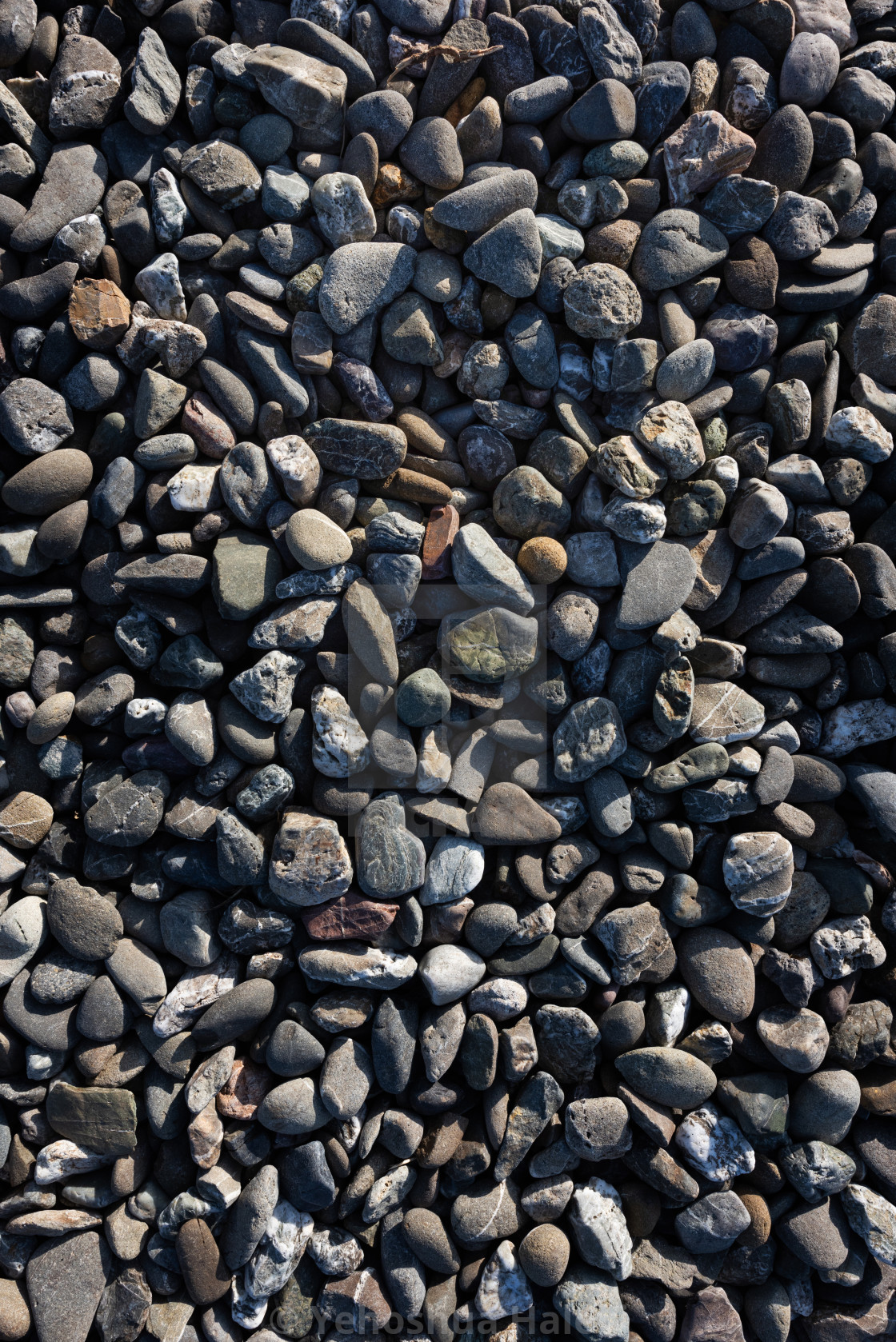 "High angle, overhead view of small, sunlit stones on a pedestrian path" by Yehoshua Halevi - $3.66 "High angle, overhead view of small, sunlit stones on a pedestrian path" stock image