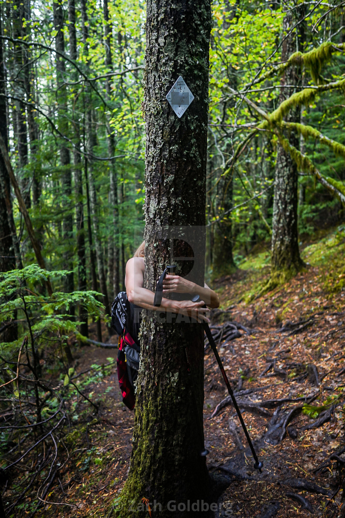 "Tree Hugger" stock image