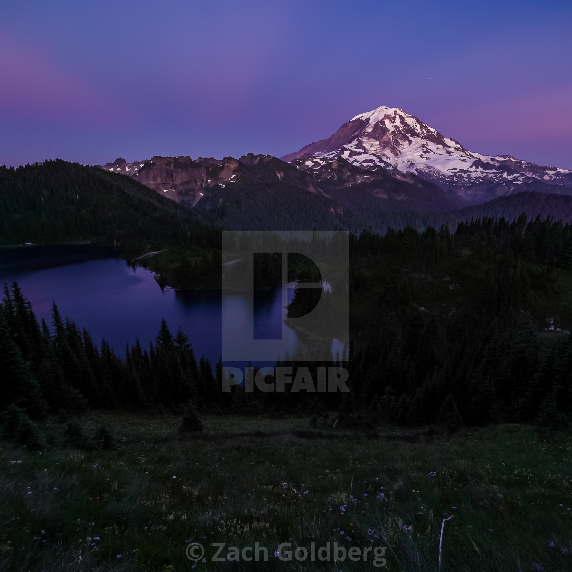 "Twighlight on Mt Rainier" stock image