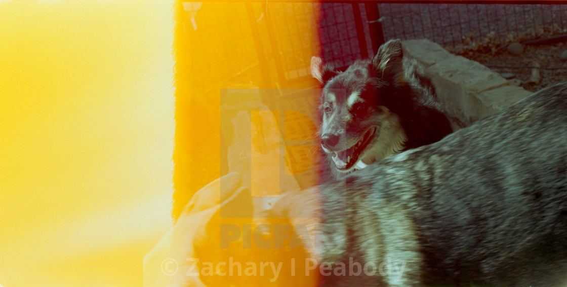 "First of the roll, Joel and Ellie" by Zachary I Peabody - £10.00 "First of the roll, Joel and Ellie" stock image