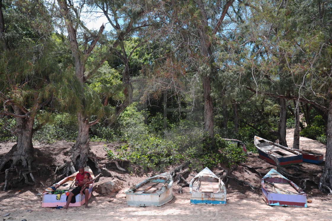 "Journey Through Mozambique" by Zed Jameson - $38.97 "Journey Through Mozambique" stock image