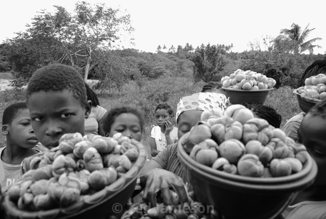"Journey Through Mozambique" by Zed Jameson - $38.97 "Journey Through Mozambique" stock image