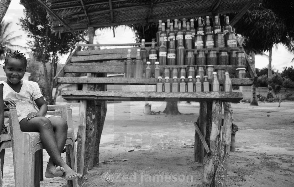 "Journey Through Mozambique" by Zed Jameson - $38.97 "Journey Through Mozambique" stock image