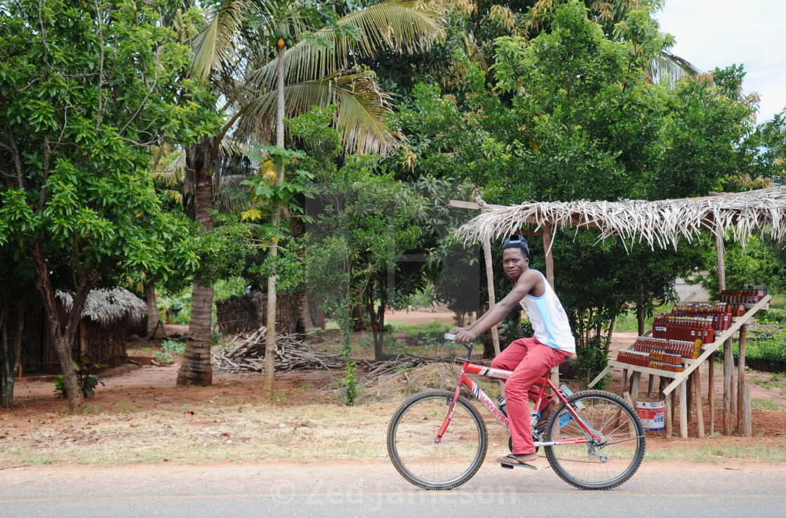 "Journey Through Mozambique" by Zed Jameson - $38.97 "Journey Through Mozambique" stock image