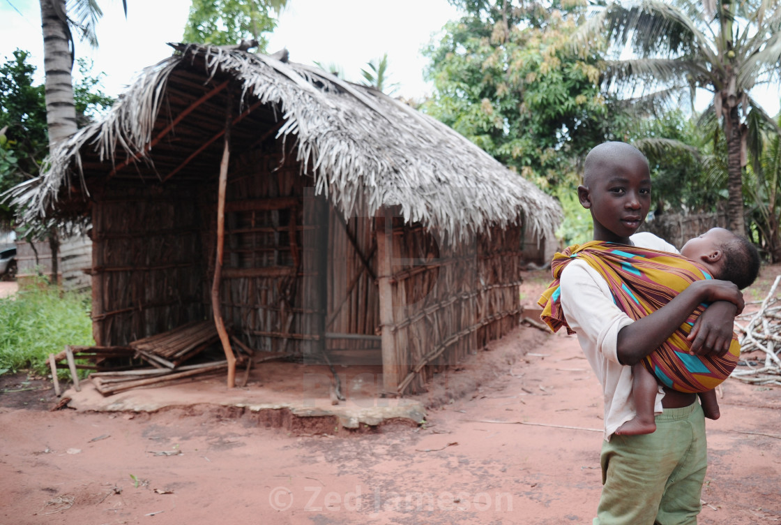 "Journey Through Mozambique" by Zed Jameson - $38.97 "Journey Through Mozambique" stock image