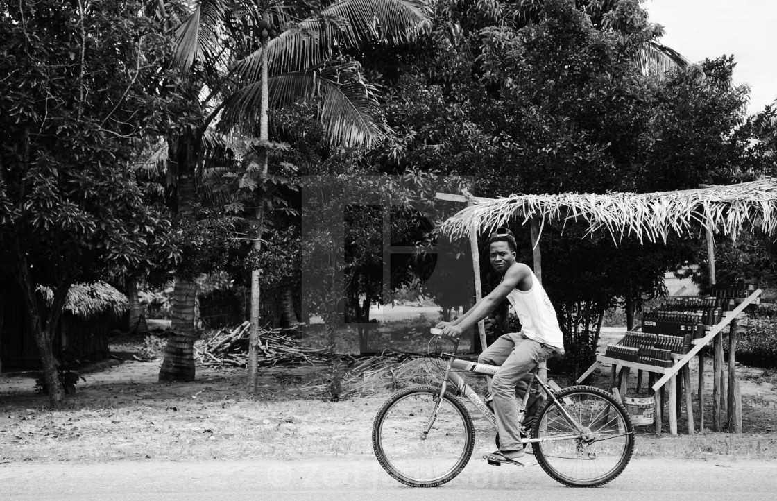 "Journey Through Mozambique" by Zed Jameson - $38.97 "Journey Through Mozambique" stock image