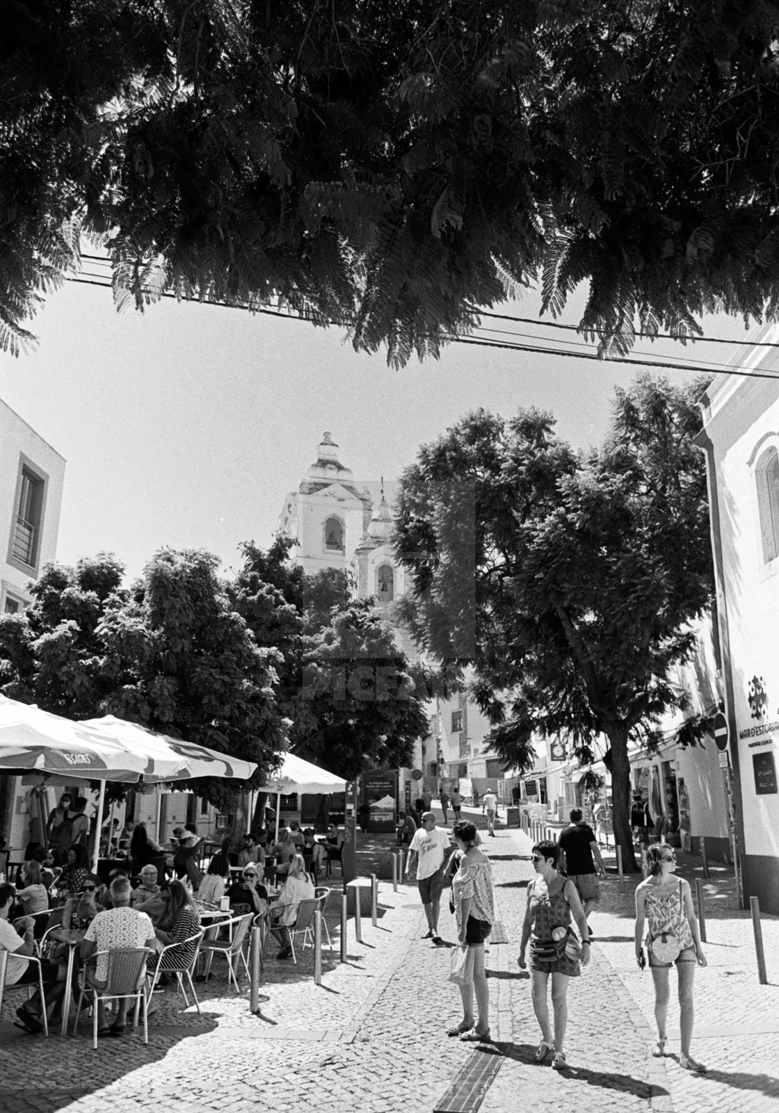 "Daily Life in Lagos, Portugal" by Zed Jameson - $38.97 "Daily Life in Lagos, Portugal" stock image