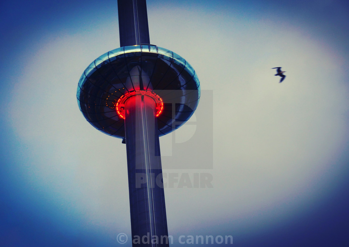 "The i360 and a seagul" stock image