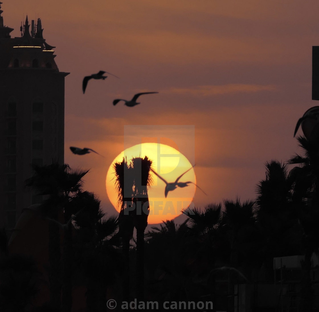 "Birds and the Sunset over the Atlantis, Palm, Dubai" stock image