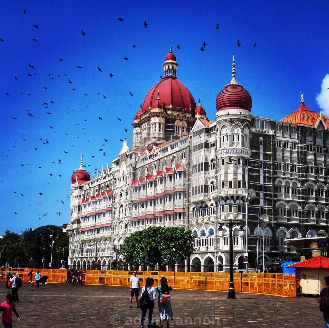 "The Taj Mahal Palace and the birds" stock image