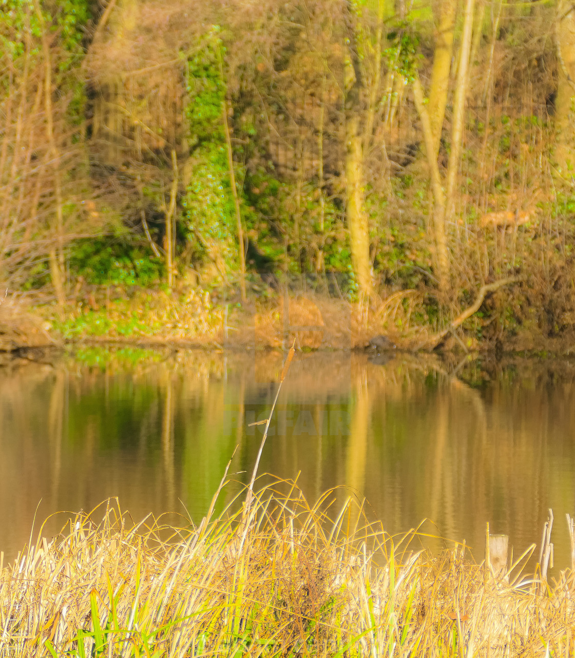 "Hampstead Garden Suburb and Hampstead Heath through the seasons" stock image