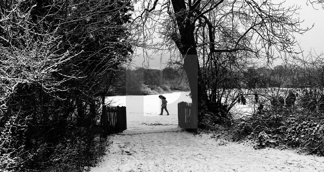 "hampstead heath in the snow" stock image