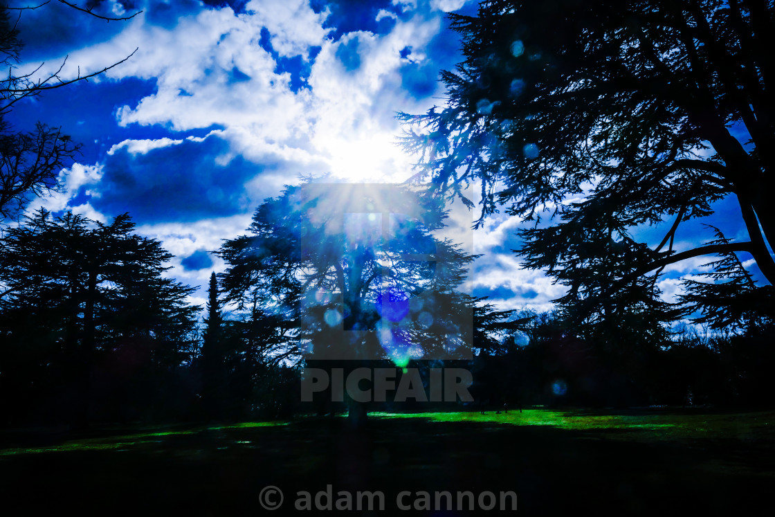 "Osterley Park meadow in the spring sunshine" stock image