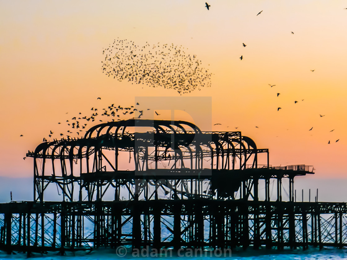 "West Pier mumurations" stock image