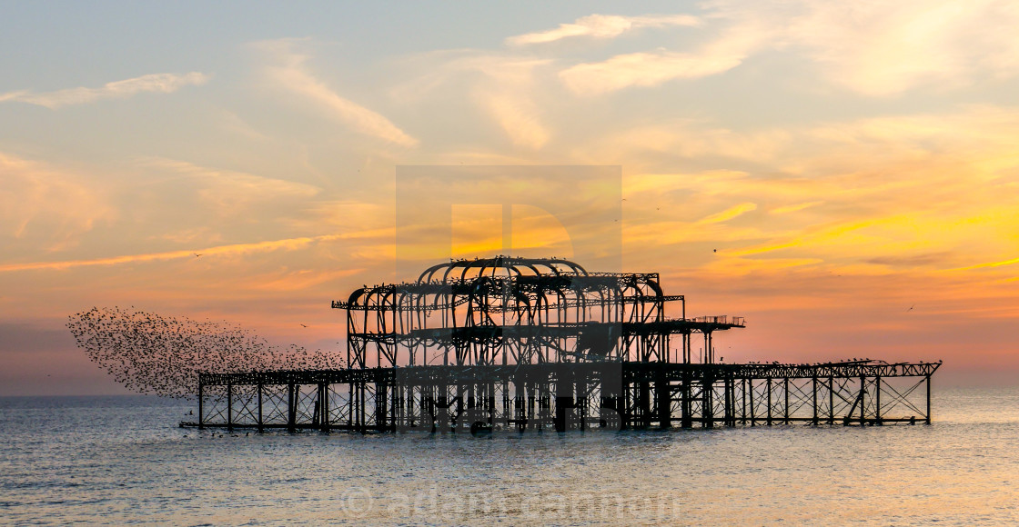 "starling murmurations and the west pier, Brighton" stock image