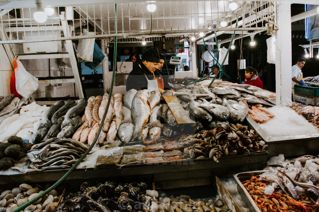 "Fish for sale - Santiago, Chile" stock image