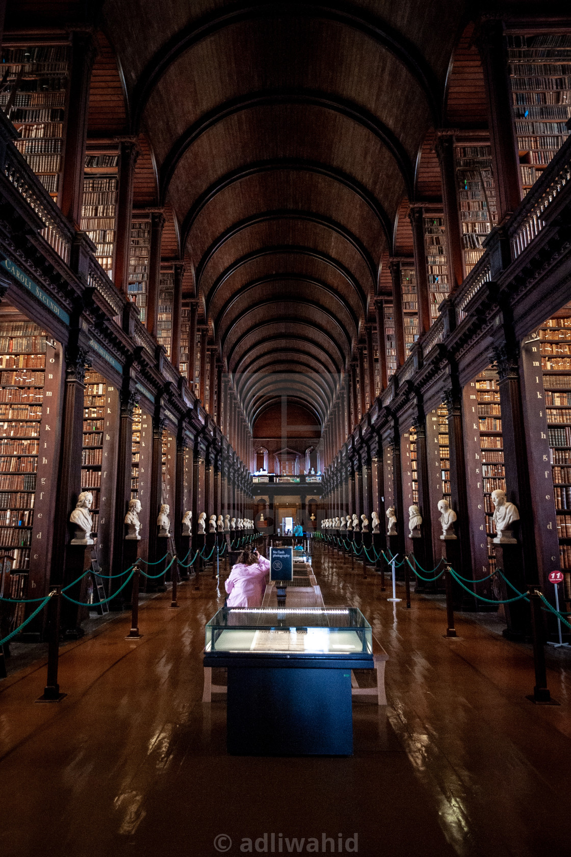 "The Old Library of Trinity College - Dublin, Ireland" stock image