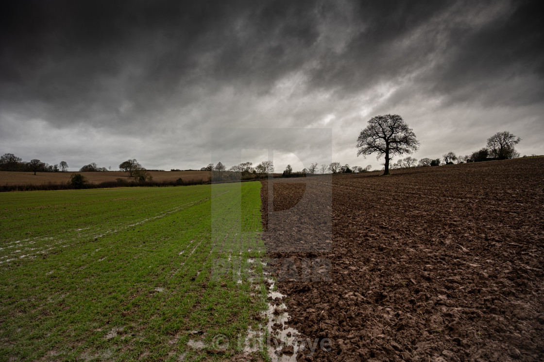 "farmland" stock image