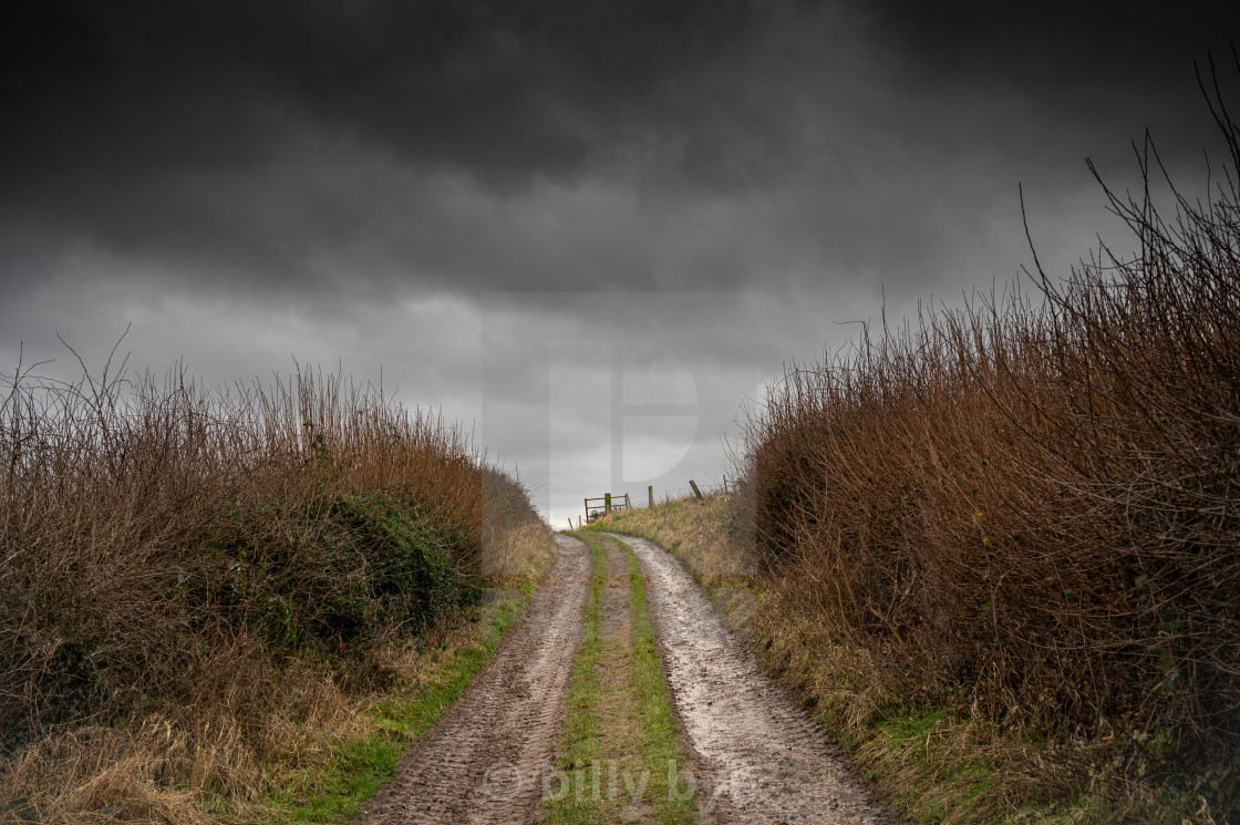 "farmland" stock image