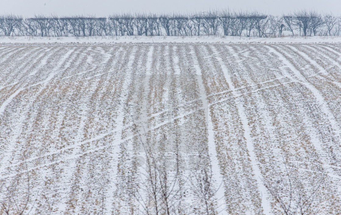 "winter plough" stock image