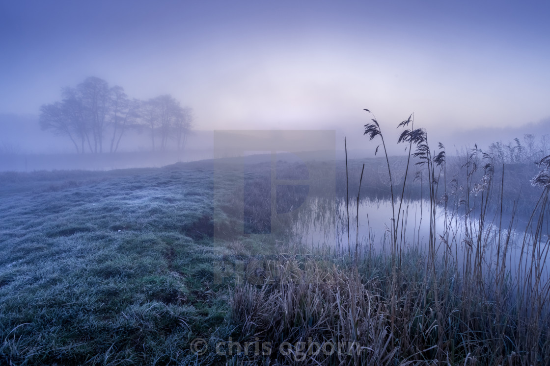 "Misty pond." stock image