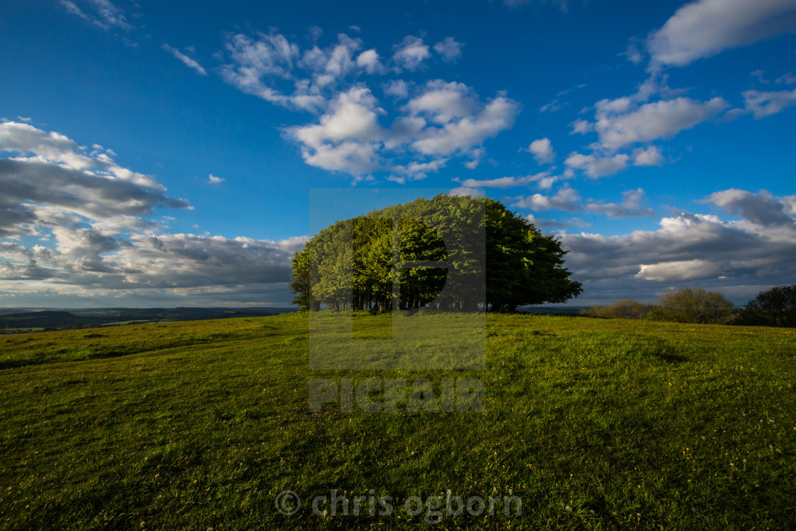 "Win Green Hill" stock image