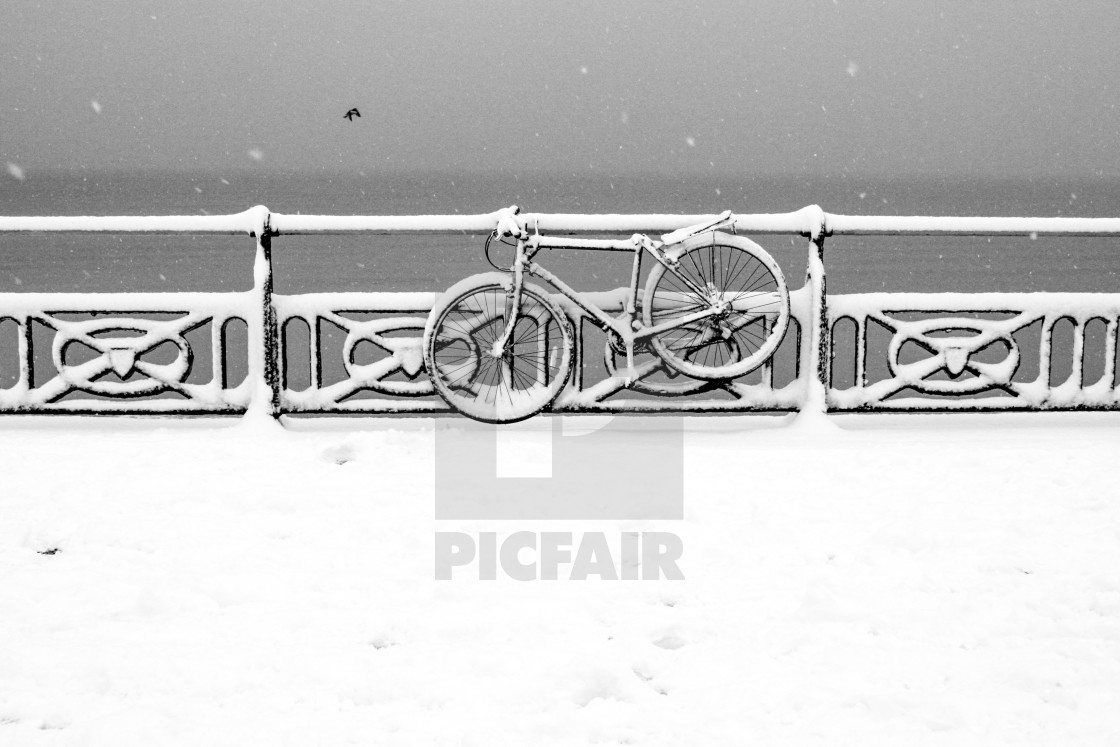 "A bycycle covered in snow chained to the railings on the promenade in Hove, UK." by darrylcuz - £6.20 "A bycycle covered in snow chained to the railings on the promenade in Hove, UK." stock image