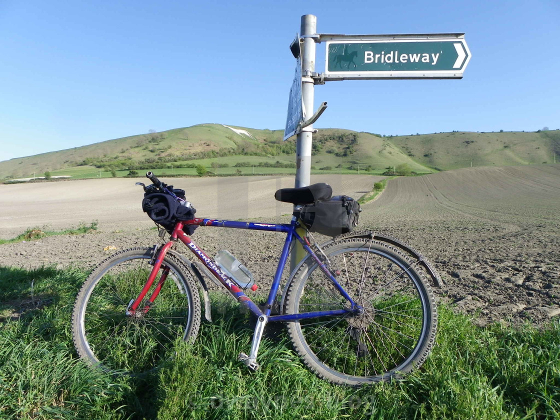 white horse bike