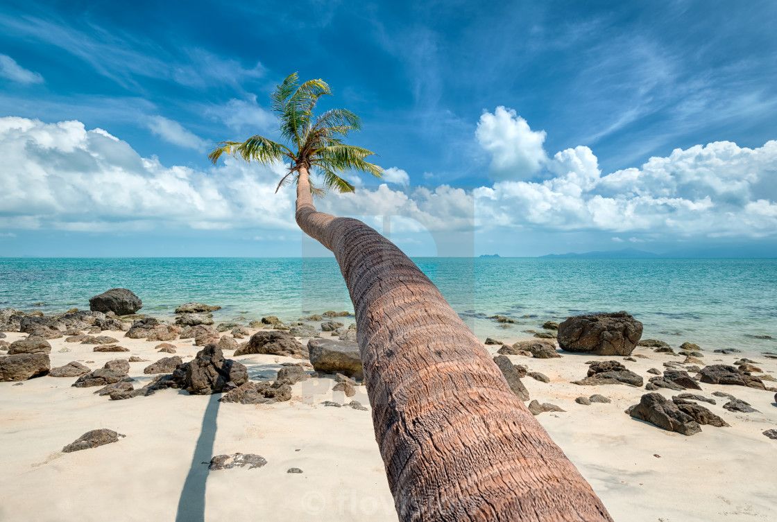 "Far away, Samui island, Thailand" stock image