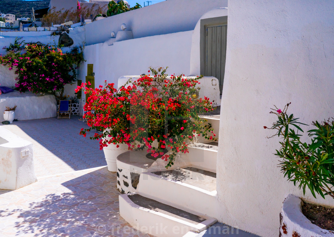 "White alley with flowers in Santorini" stock image